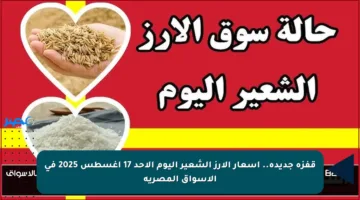 قفزة جديدة.. أسعار الأرز الشعير اليوم الأحد 17 أغسطس 2025 في الأسواق المصرية